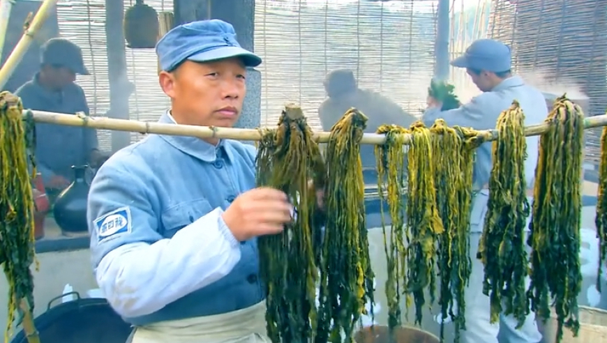 爸爸再婚男孩给新妈妈磕头 全场泪崩,香港最准最快资料曾道道人43678论坛六码推荐,成语解释落实可能存在的问题_至尊版V6.24